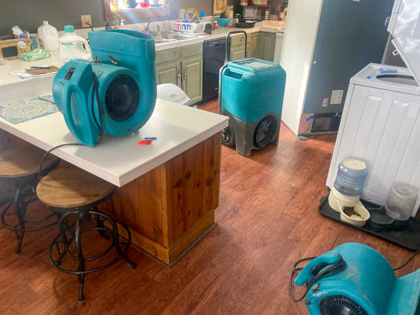 Best Water damage restoration near me  in Lost Hills, CA